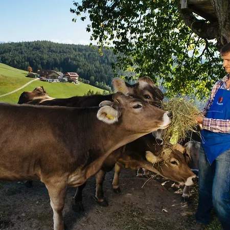 Mair am Graben Farm * Chalets-3